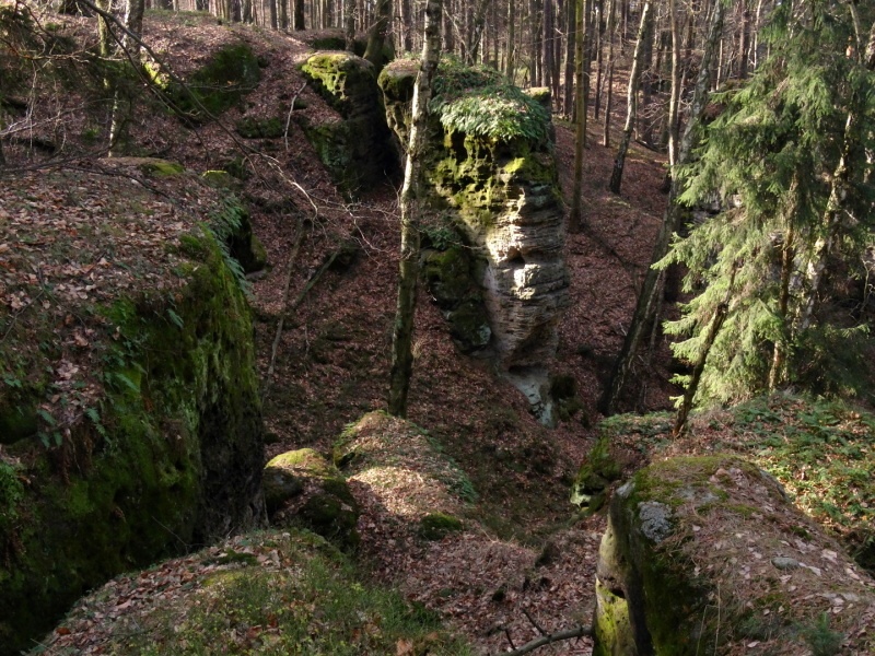 vrch Drnclík 481m