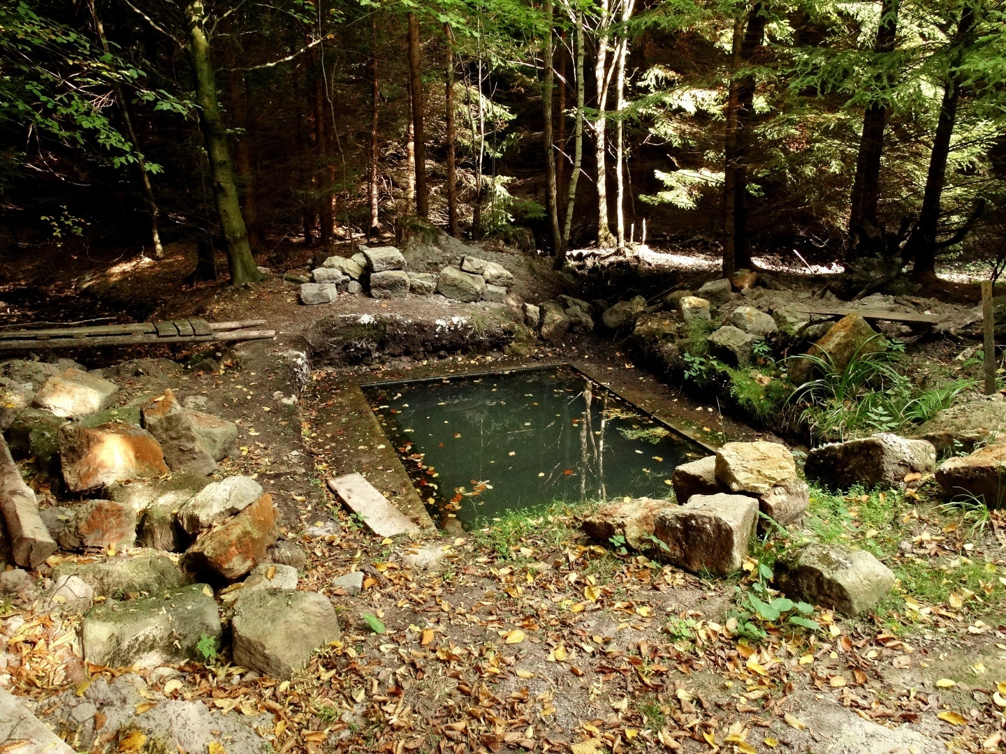 Studánka v Pečence