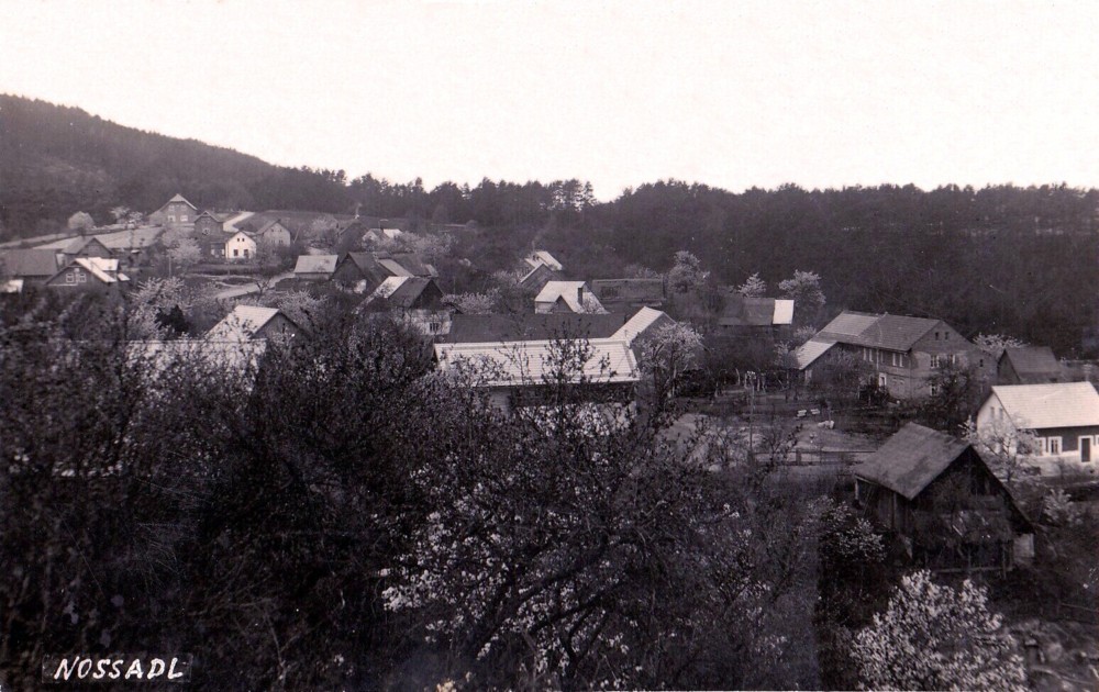 A03_-nosalov-zacatek-ctyricatych-let